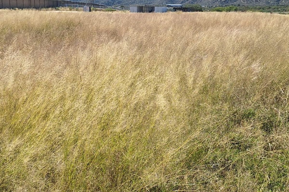 Prime Vacant Land for Rent in Brakwater, Windhoek – Secure & Accessible - Photo 2