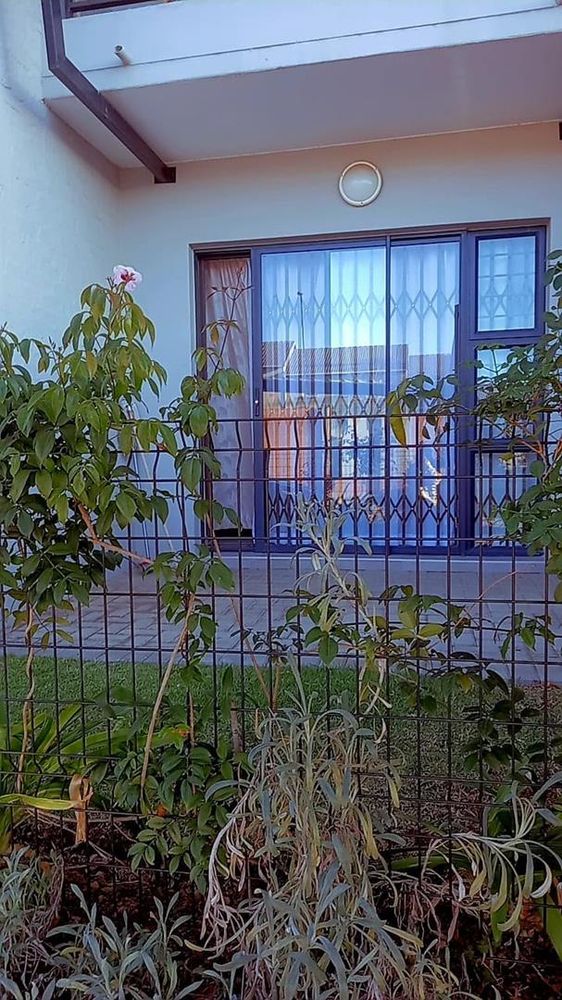 Patio & Garden 