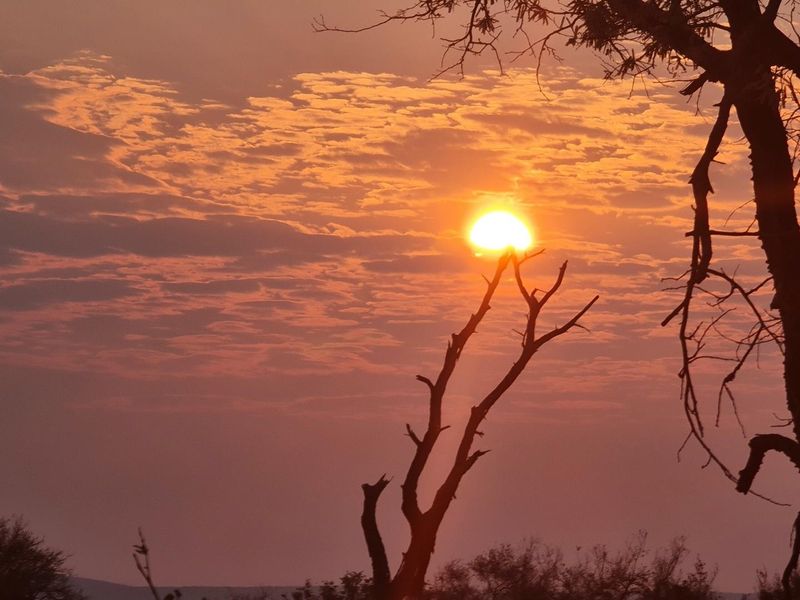 Luxury 6000ha Game Lodge & Stylish Campsite – Prime Tourism  Investment! - Photo 5