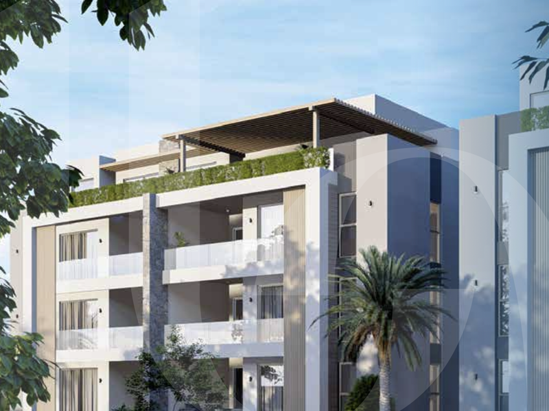 Where Luxury Meets Paradise - Photo 2