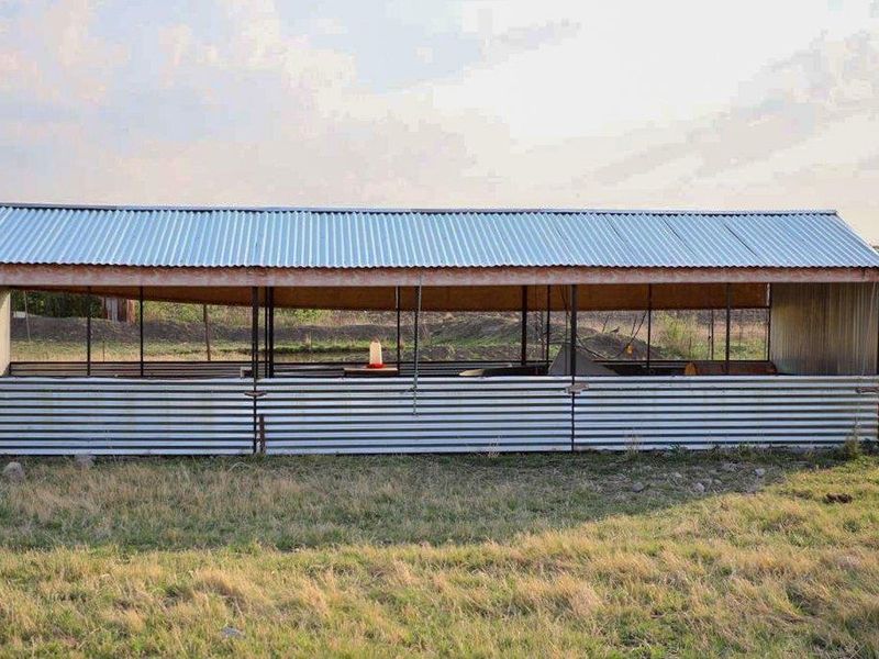 Countryside Smallholding for Sale in Koppies - Photo 10