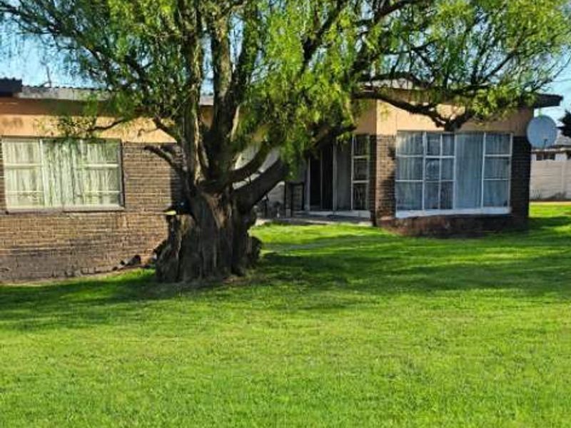 Rear view of the property featuring a large mature tree, expansive lawn, and brick exterior with aluminium window frames.