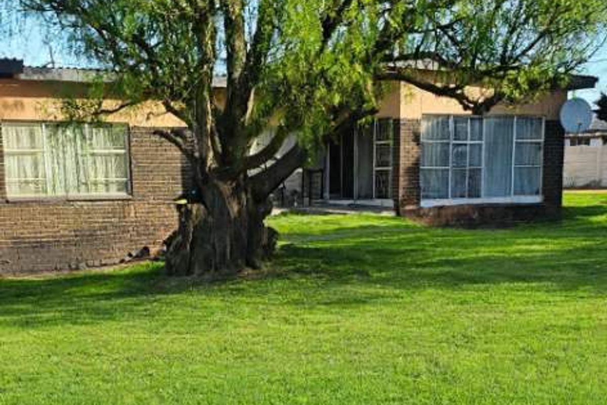 Rear view of the property featuring a large mature tree, expansive lawn, and brick exterior with aluminium window frames.