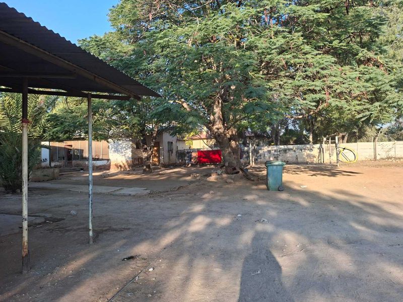 Spacious rear yard area featuring mature trees, a perimeter boundary wall, and a covered outdoor structure with rusted metal supports.