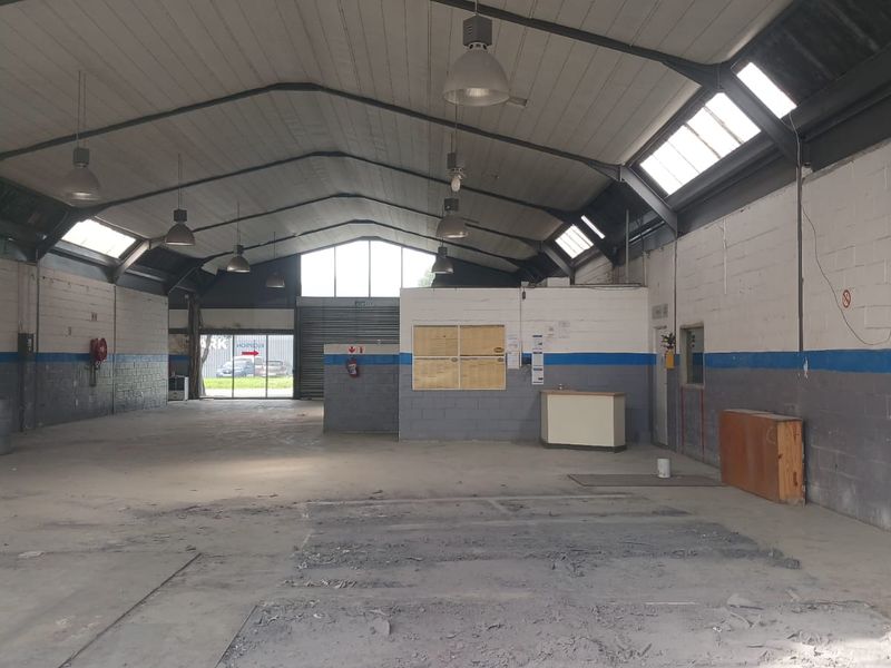 Prime Retail & Showroom Space To Let | 286–462 sqm | South Palms Centre - Photo 6
