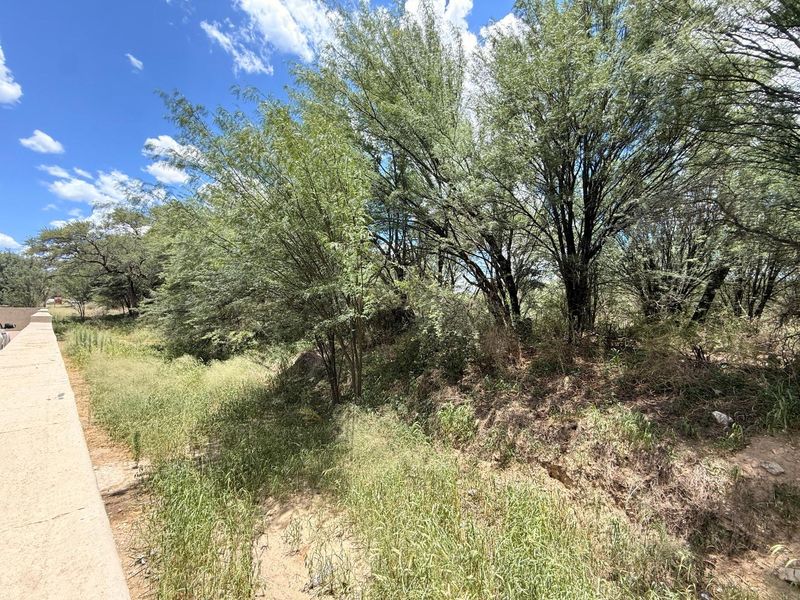 A view of the vacant residential land featuring a concrete retaining wall and established trees on the property boundary.