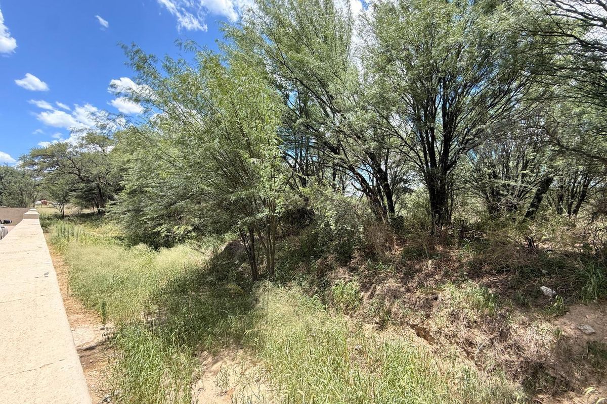 A view of the vacant residential land featuring a concrete retaining wall and established trees on the property boundary.
