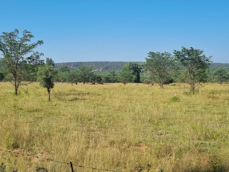 Vacant Land De Tweedespruit Cullinan - Photo 10