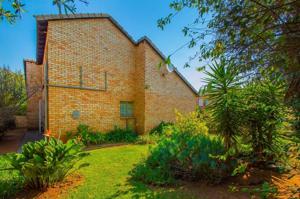 Back of garden