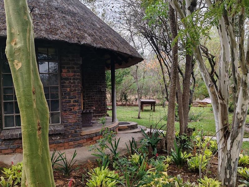 A rustic cottage featuring a traditional thatched roof and exposed brick exterior, set within a lush, natural garden environment.