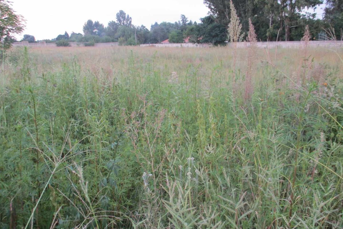 Enjoy the tranquility of Henley - Photo 2