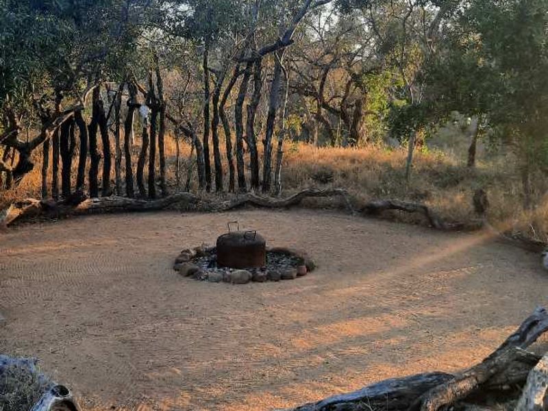 A natural outdoor garden area featuring a central stone-bordered fire pit set within a cleared sandy clearing surrounded by indigenous trees.