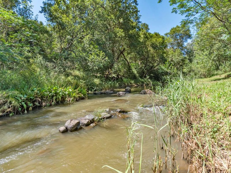 Hekpoort farm bliss: 4 homes, River frontage and Income potential - Photo 6