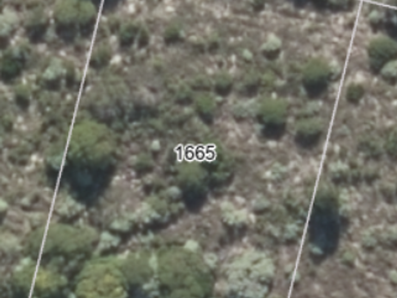 Prime Coastal Plot in the Growing neighbourhood of Groenberg - Photo 6