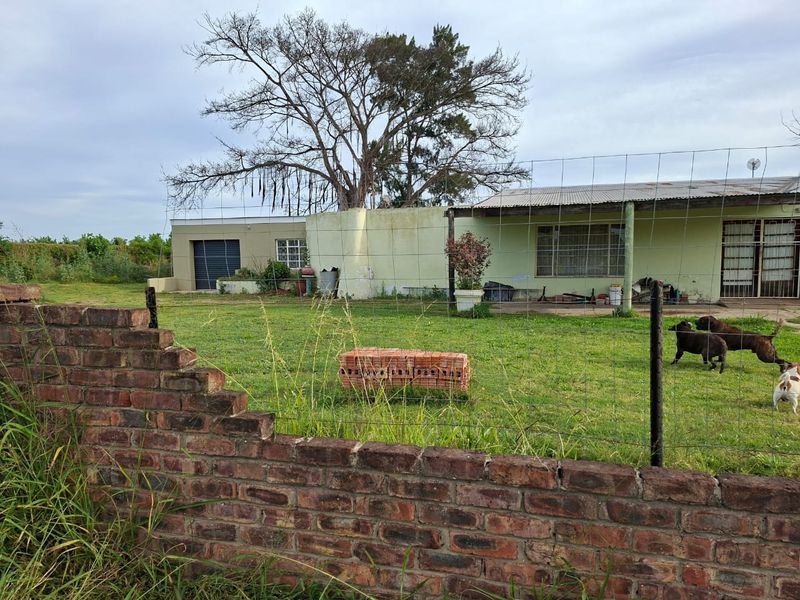 Rear view of the property featuring a large garden, a covered patio area, and a brick boundary wall with wire fencing.