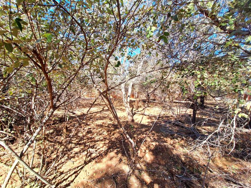 500m2 Stand in Prime Location - Photo 3