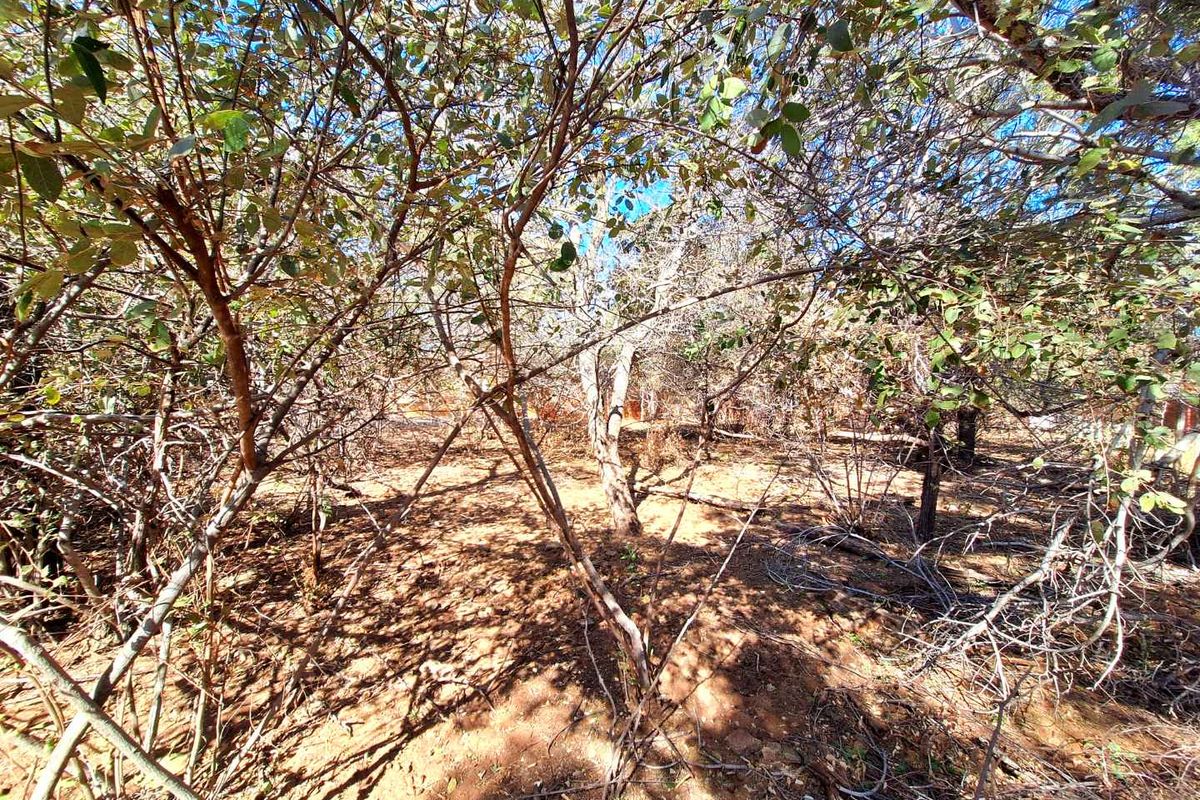 500m2 Stand in Prime Location - Photo 3