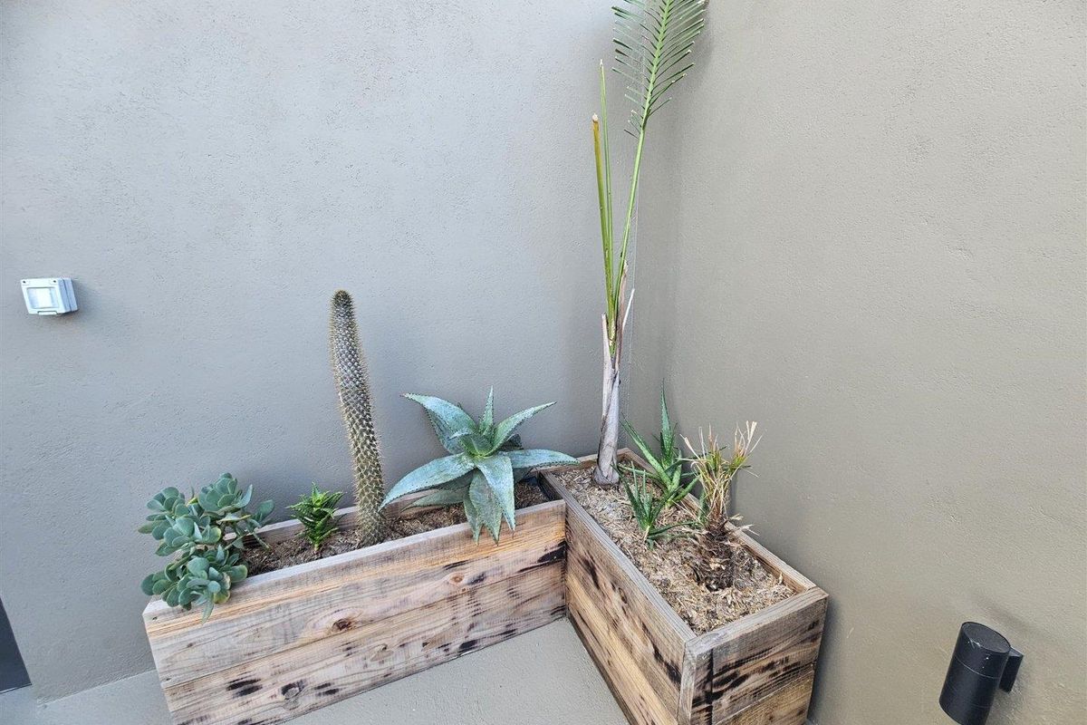 A corner outdoor area featuring a smooth rendered wall, exterior lighting fixtures, and custom wooden planter boxes with established plants.