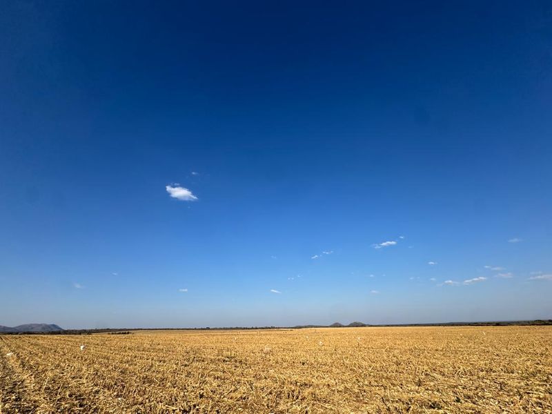 A wide-angle view of expansive, harvested agricultural farmland under a clear blue sky.