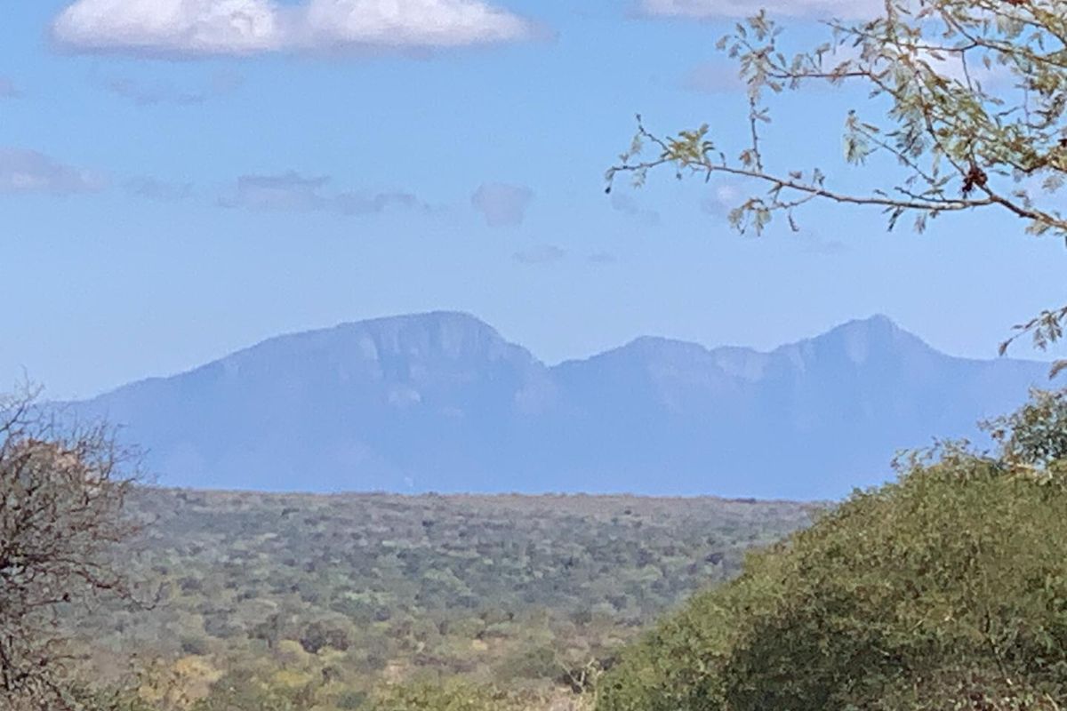 Beautiful stand in Elephant Eco Estate - Photo 2