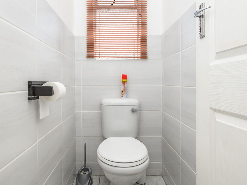 Often sought, seldom found Rolyat - Photo 9