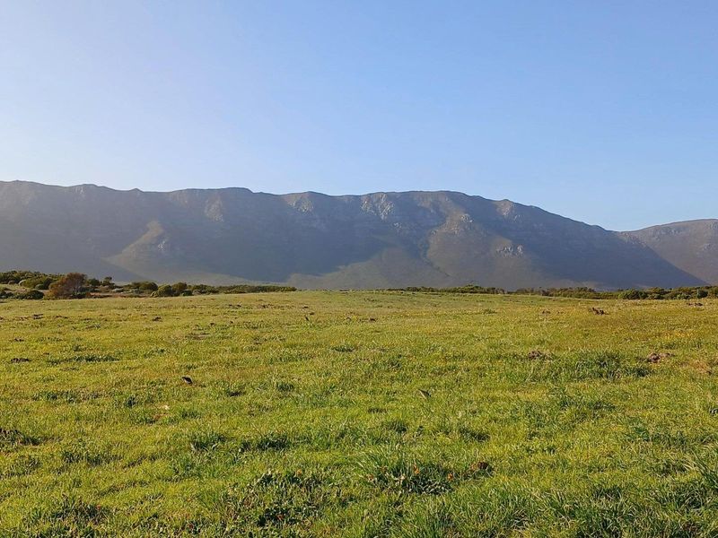 Expansive view of open grassland with a prominent mountain range in the background.