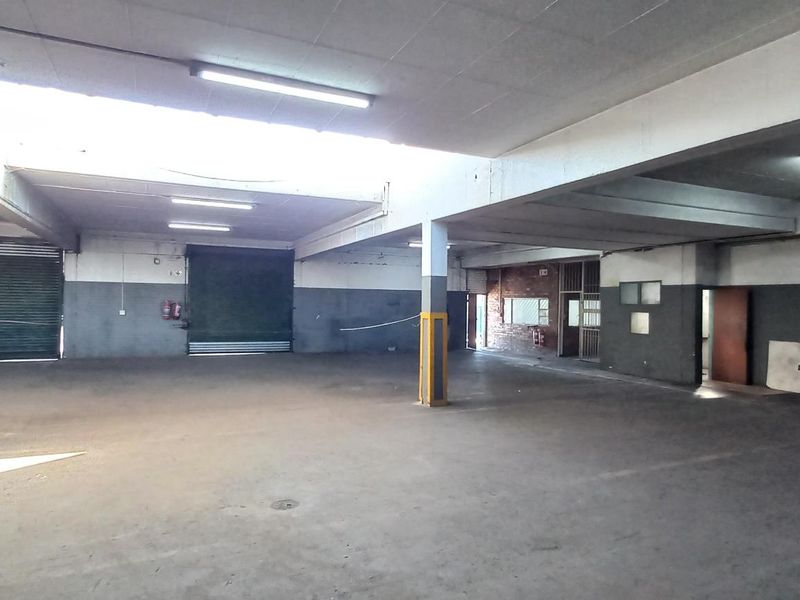 Spacious industrial warehouse area featuring high ceilings, multiple roller shutter doors, concrete flooring, and integrated fluorescent lighting throughout the open-plan workspace.