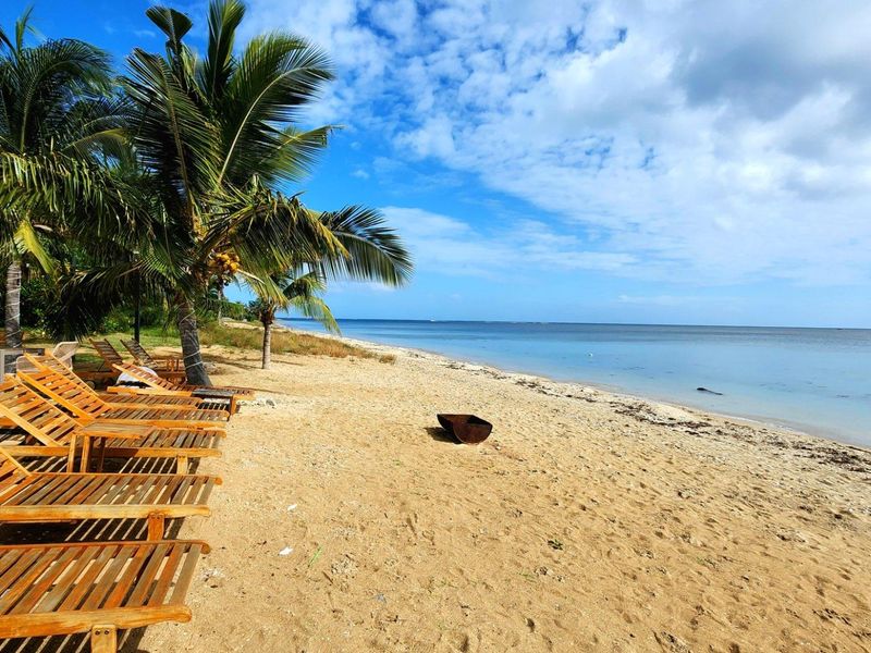 A scenic view of a sandy beach coastline with palm trees and calm ocean waters.