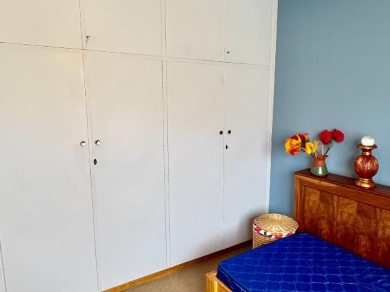 A bedroom featuring built-in cupboards and a ceiling fan, with blue painted walls and carpeted flooring.