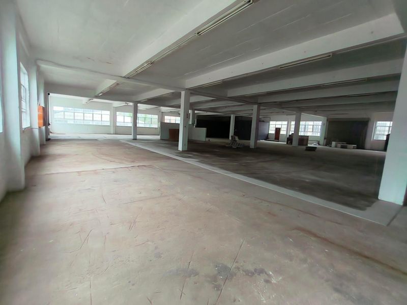 Expansive open-plan industrial warehouse space featuring concrete flooring, structural support columns, and large windows providing ample natural light.