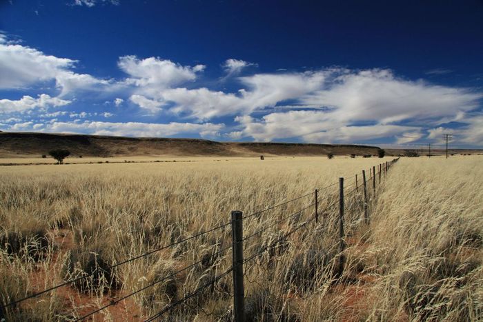 Property #2494214, Farm For Sale in Otjiwarongo Central