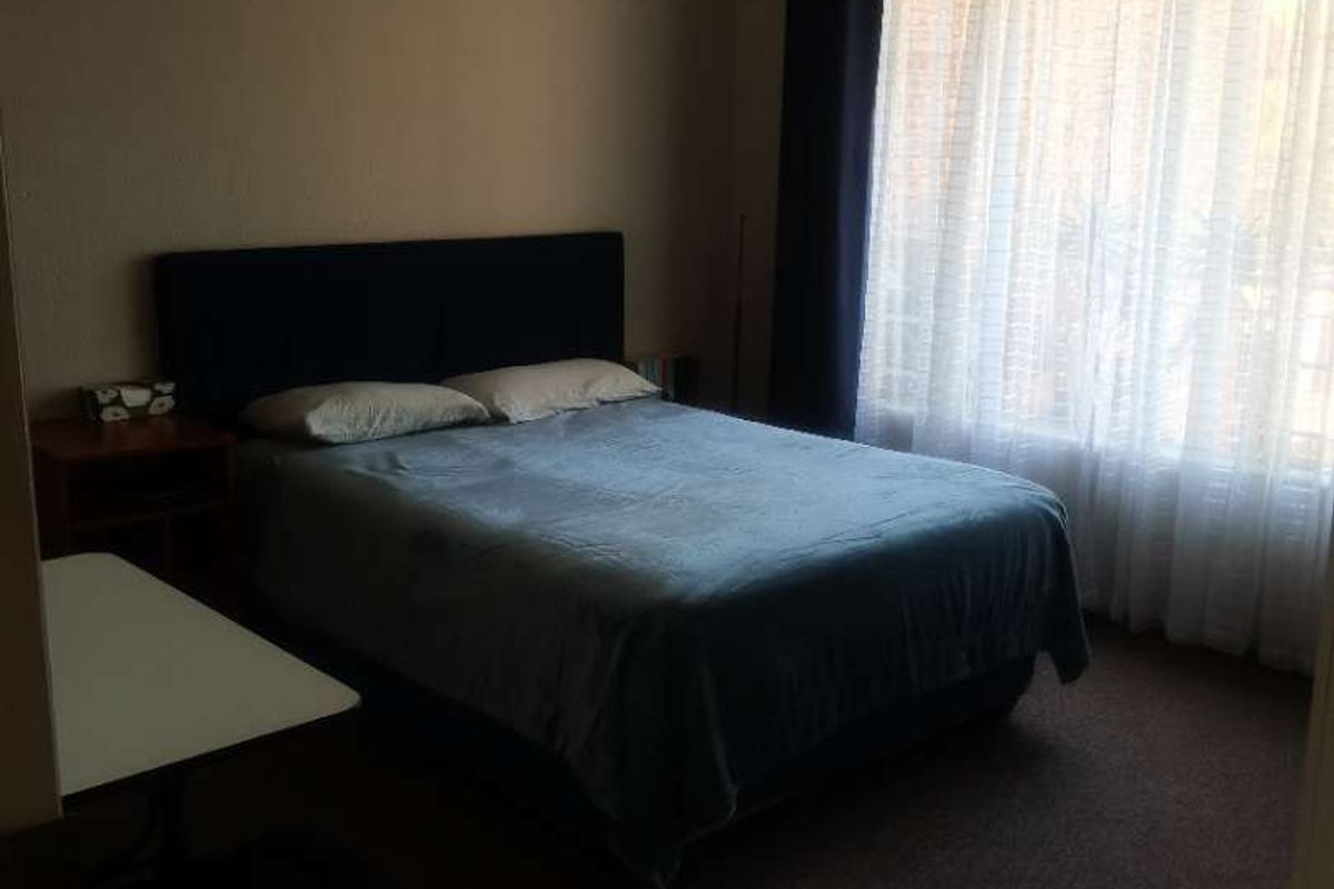 A standard bedroom featuring carpeted flooring, a ceiling fan, and large windows with curtain treatments, providing natural light.
