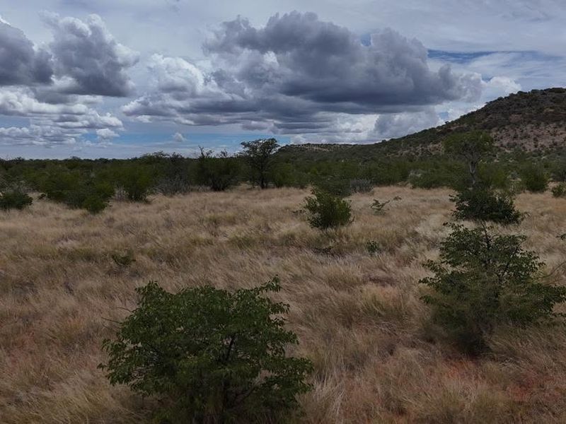 Expansive view of the natural farm landscape featuring indigenous vegetation, dry grasslands, and rolling hills under a cloudy sky.