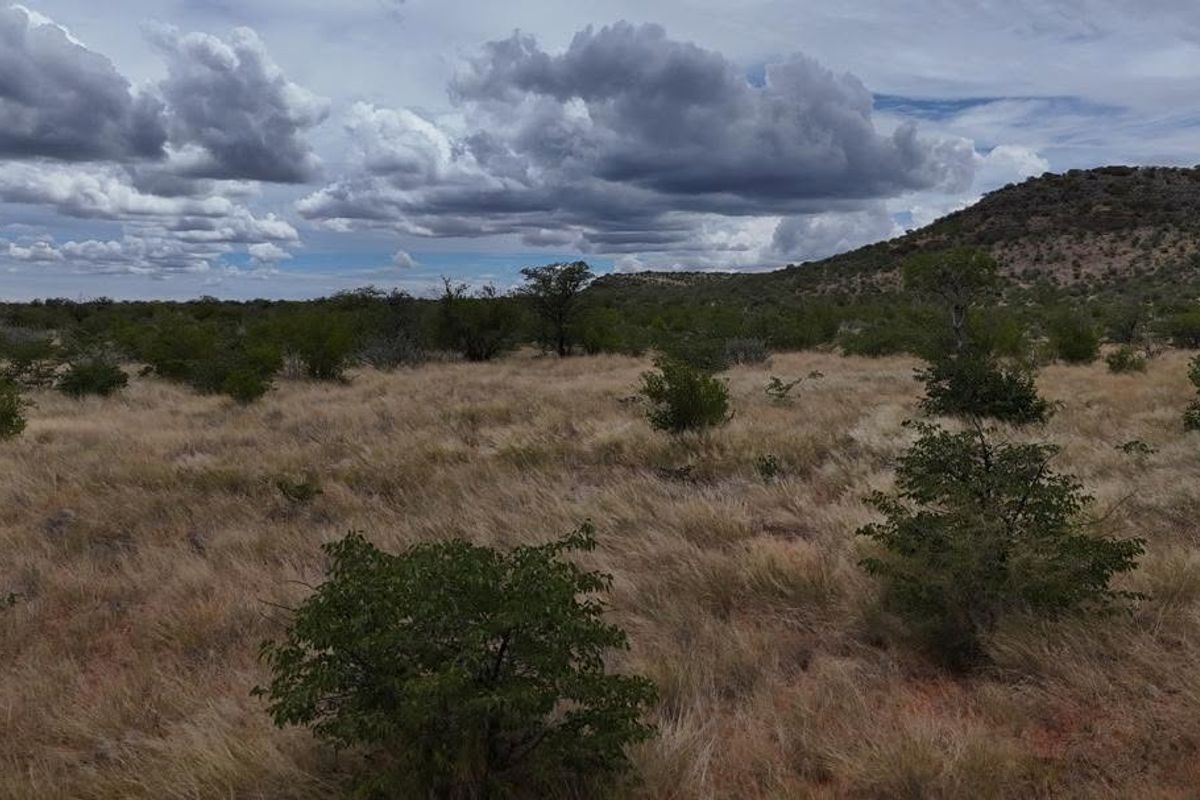 Expansive view of the natural farm landscape featuring indigenous vegetation, dry grasslands, and rolling hills under a cloudy sky.