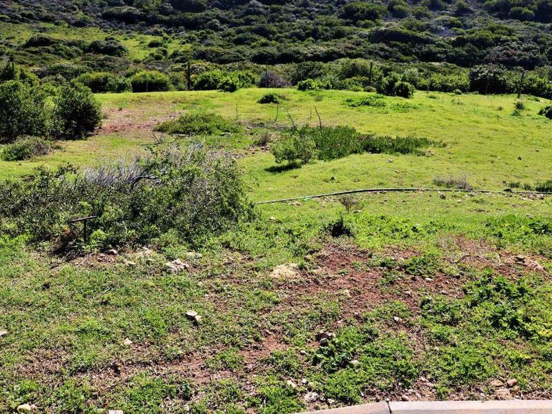 687m2 Vacant Land For Sale in Kloofsig Estate Vleesbaai - Photo 4