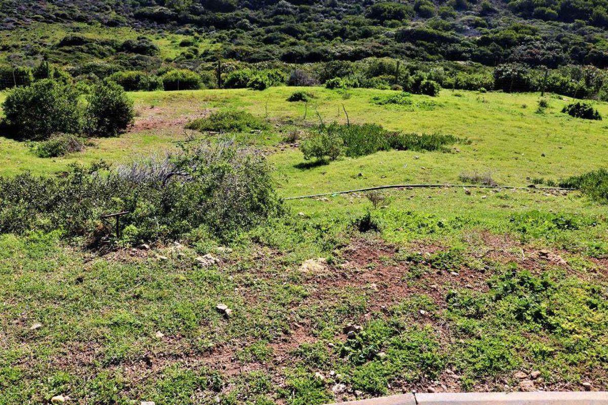 687m2 Vacant Land For Sale in Kloofsig Estate Vleesbaai - Photo 4