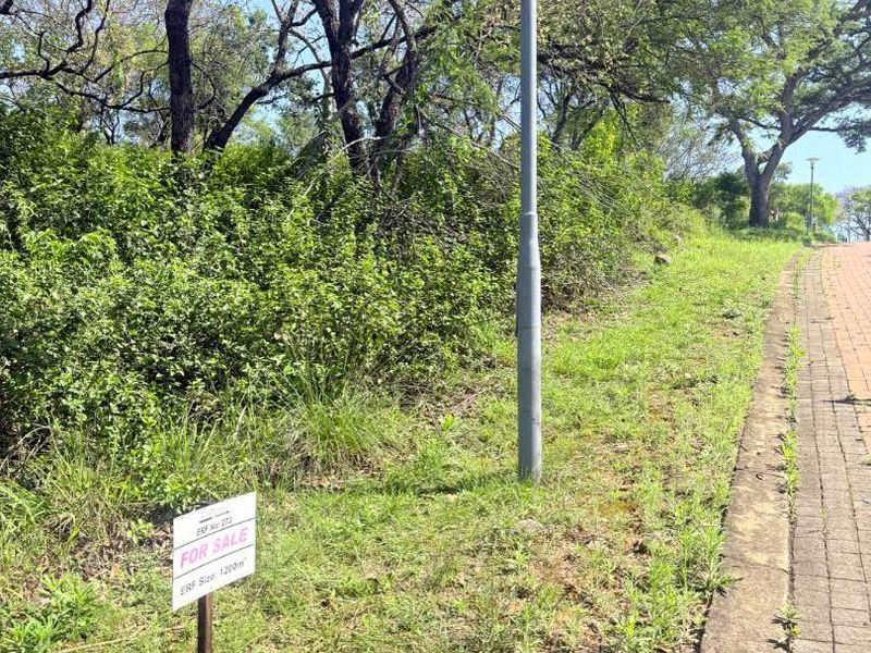 A view of the vacant residential erf featuring mature trees, a street light, and a paved verge, indicating the property boundary.