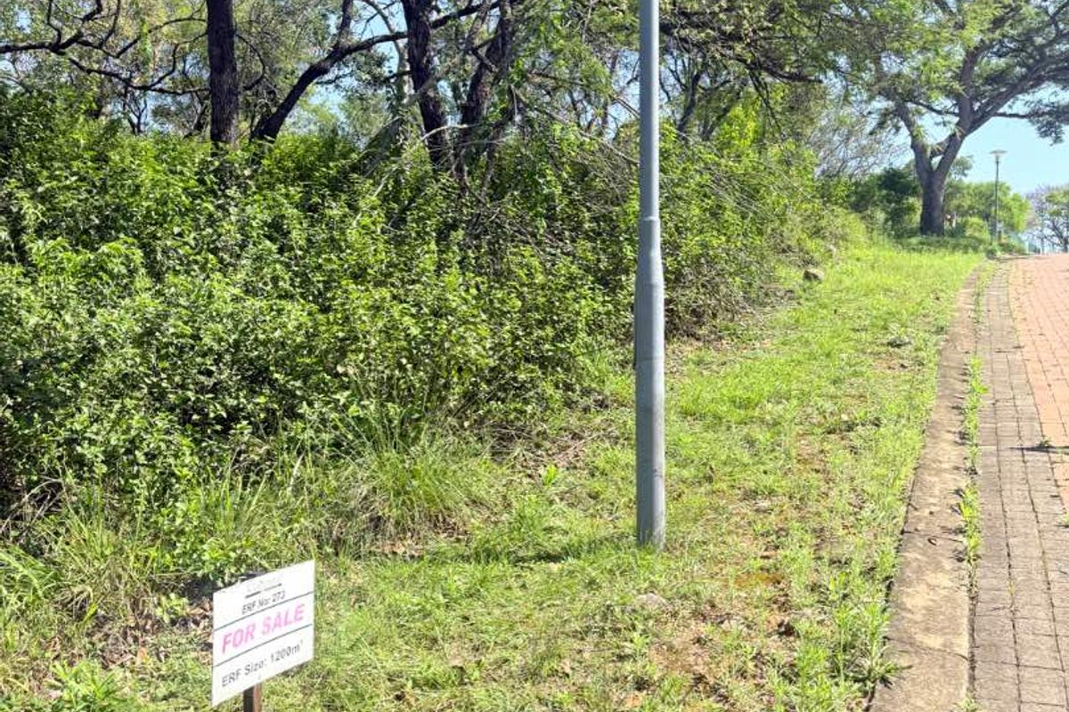 A view of the vacant residential erf featuring mature trees, a street light, and a paved verge, indicating the property boundary.