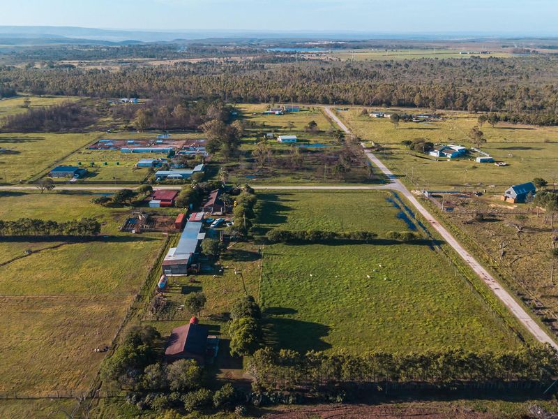 Rare Income-Generating Lifestyle Smallholding:2 Homes & Business Potential – Rendallton, Near Gqeberha - Photo 7
