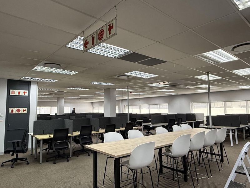 A spacious open-plan office area featuring a suspended ceiling, recessed lighting, carpeted flooring, and multiple workstation cubicles.