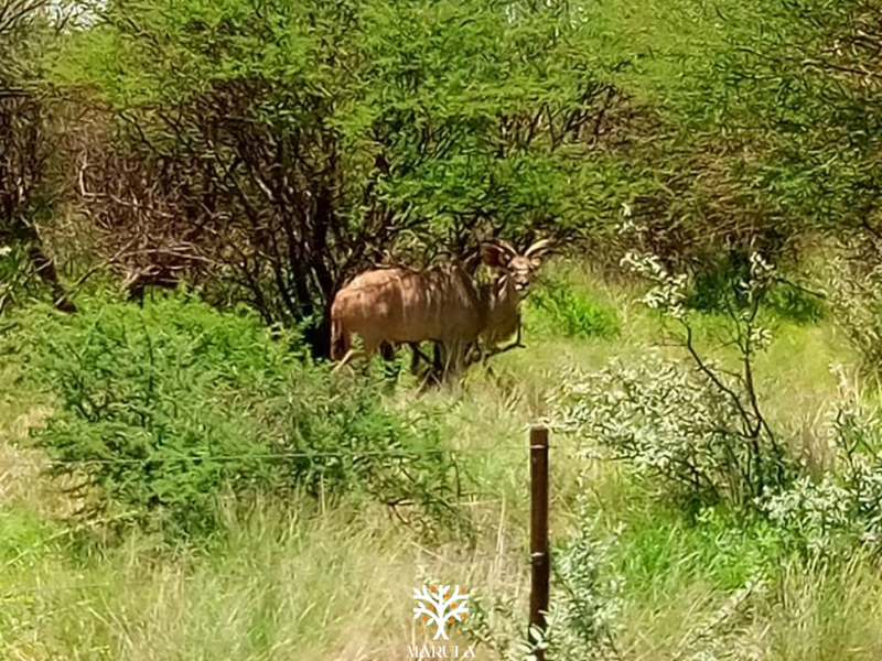 5-HECTARE PLOT AVAILABLE WITH RURAL-RESIDENTIAL ZONING - Photo 6