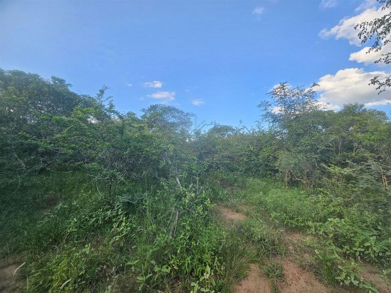 Stand for sale in Moditlo Wildlife Estate - Photo 3