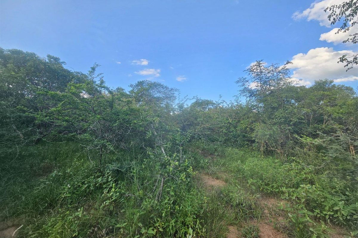 Stand for sale in Moditlo Wildlife Estate - Photo 3