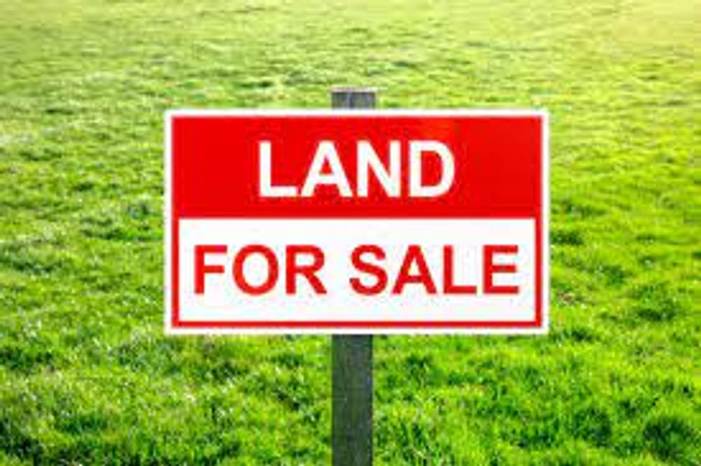 Vacant Industrial Plot