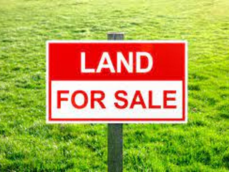 A sign indicating land for sale positioned on a grassy plot.