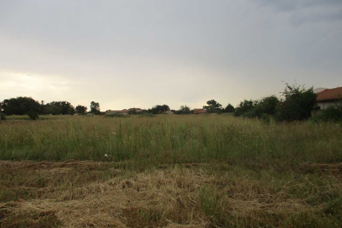 Huge land in Henley - Photo 4