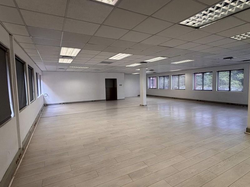 A spacious, open-plan office area featuring modern laminate flooring, a suspended ceiling with recessed lighting, and large windows with roller blinds.
