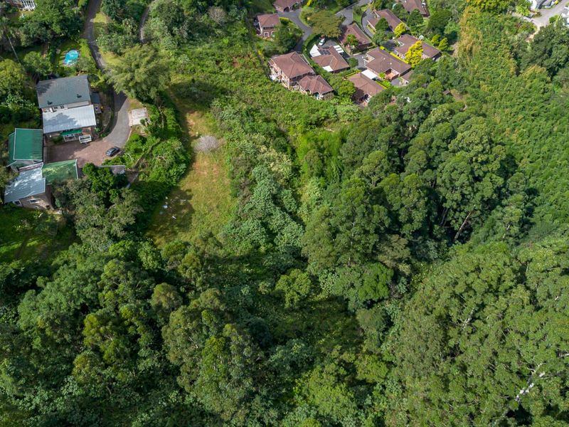 Developmental Opportunities or a Dream Home - Photo 7