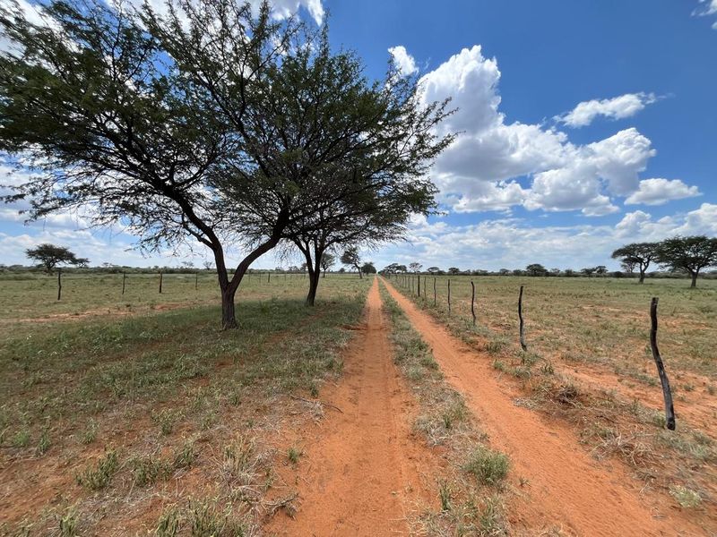This impressive 4,100-hectare farm, strategically divided into 22 well-equipped camps, offers an exceptional opportunity for serious farming and investment. - Photo 2