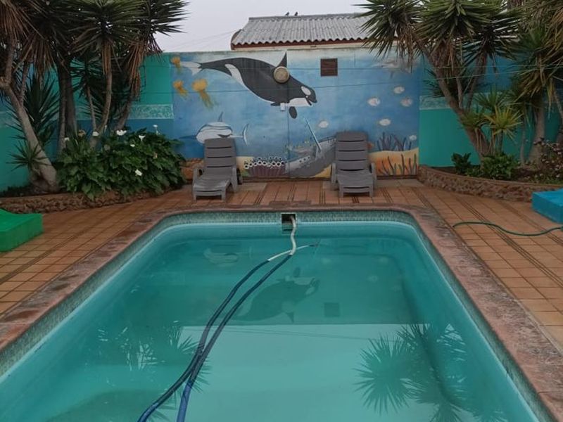 Outdoor pool area featuring a swimming pool with tiled surround, raised garden beds, and a decorative mural on the boundary wall.